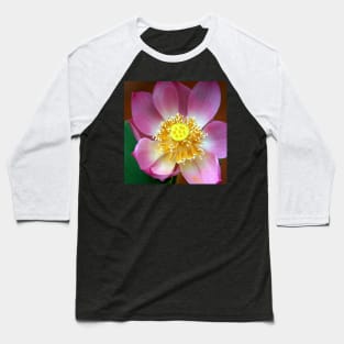 Large Water Lily (Lotus) Flower, Thailand Baseball T-Shirt